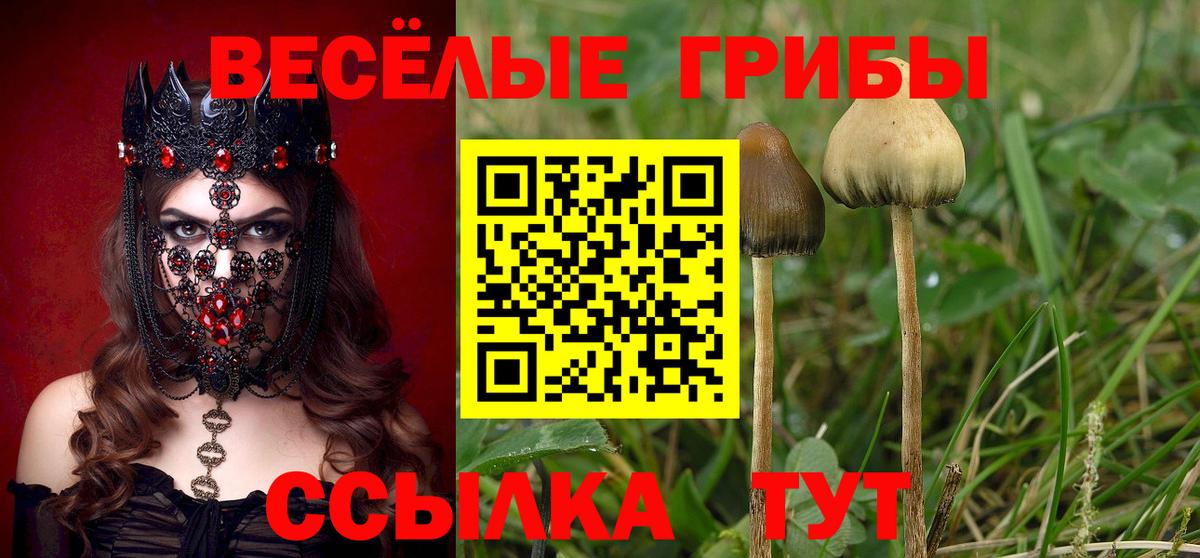 Псилоцибиновые грибы ЛСД Валуйки